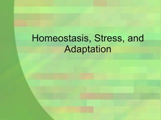 Homeostasis, Stress, and Adaptation 