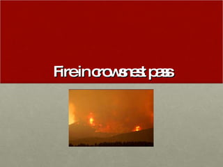 Fire in crowsnest pass 