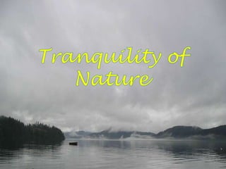 Tranquility of Nature 