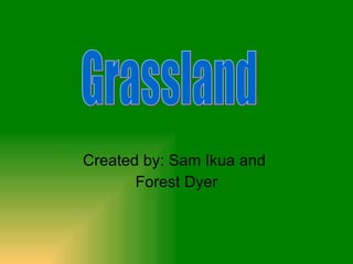 Created by: Sam Ikua and  Forest Dyer Grassland 