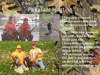 Pheasant Hunting ,[object Object],[object Object],[object Object],[object Object]