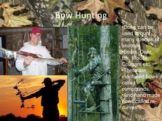 Bow Hunting Bows can be used to hunt many species of animals. Bears, Deer, Elk, Moose, Cougars etc. There are machined bows called compounds. And hand made bows called re-curves. 