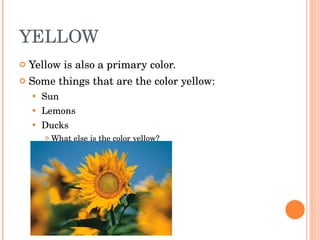 YELLOW  Yellow is also a primary color. Some things that are the color yellow: Sun Lemons Ducks What else is the color yellow? 