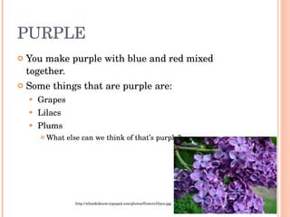 PURPLE You make purple with blue and red mixed together.  Some things that are purple are: Grapes Lilacs Plums What else can we think of that’s purple? http://whatdoiknow.typepad.com/photos/flowers/lilacs.jpg 