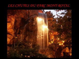 LES CHUTES DU PARC MONT-ROYAL
 