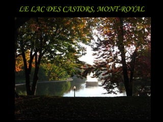LE LAC DES CASTORS, MONT-ROYAL
 