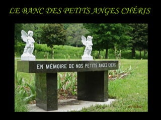 LE BANC DES PETITS ANGES CHÉRIS
 