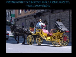 PROMENADE EN CALÈCHE SUR LA RUE ST-PAUL,
           VIEUX MONTRÉAL
 