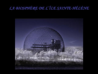 LA BIOSPHÈRE DE L’ÎLE SAINTE-HÉLÈNE
 