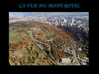 LA VUE DU MONT-ROYAL
 