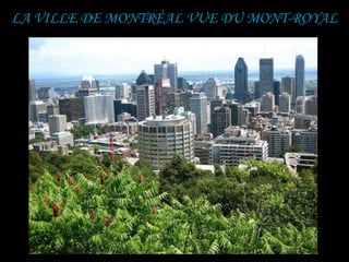 LA VILLE DE MONTRÉAL VUE DU MONT-ROYAL
 