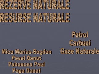 REZERVE NATURALE RESURSE NATURALE Petrol Carbuni Gaze Naturale Micu Marius-Bogdan Pavel Danut Pahoncea Paul Popa Danut 