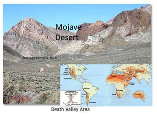 Mojave Desert Average temp is  81.4 