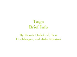 Taiga Brief Info By Ursula Dedekind, Tess Hochberger, and Julia Rotatori 