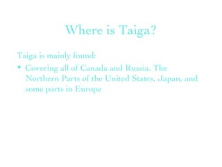 Where is Taiga? Taiga is mainly found: Covering all of Canada and Russia. The Northern Parts of the United States, Japan, and some parts in Europe 