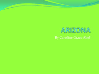 ARIZONA By Caroline Grace Abel 