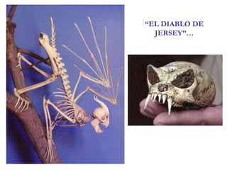 “EL DIABLO DE JERSEY”…