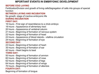 MPORTANT EVENTS IN EMBRYONIC DEVELOPMENT BEFORE EGG LAYING FertilizationDivision and growth of living cellsSegregation of cells into groups of special function BETWEEN LAYING AND INCUBATION No growth; stage of inactive embryonic life DURING INCUBATION FIRST DAY: 16 hours - First sign of resemblance to a chick embryo 18 hours - Appearance of alimentary tract 20 hours - Appearance of vertebral column 21 hours - Beginning of formation of nervous system 22 hours - Beginning of formation of head 23 hours - Appearance of blood islands - vitelline circulation 24 hours - Beginning of formation of eye SECOND DAY: 23 hours - Beginning of formation of heart 35 hours - Beginning of formation of ear 42 hours - Heart begins to beat THIRD DAY: 50 hours - Beginning of formation of amnion 60 hours - Beginning of formation of nose 62 hours - Beginning of formation of legs 64 hours - Beginning of formation of wings 70 hours - Beginning of formation of allantois FOURTH DAY: Beginning of formation of tongue 