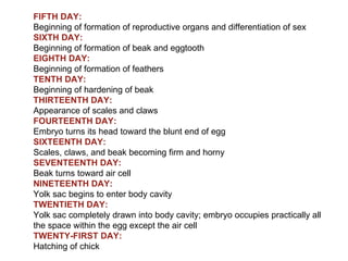FIFTH DAY: Beginning of formation of reproductive organs and differentiation of sex SIXTH DAY: Beginning of formation of beak and eggtooth EIGHTH DAY: Beginning of formation of feathers TENTH DAY: Beginning of hardening of beak THIRTEENTH DAY: Appearance of scales and claws FOURTEENTH DAY: Embryo turns its head toward the blunt end of egg SIXTEENTH DAY: Scales, claws, and beak becoming firm and horny SEVENTEENTH DAY: Beak turns toward air cell NINETEENTH DAY: Yolk sac begins to enter body cavity TWENTIETH DAY: Yolk sac completely drawn into body cavity; embryo occupies practically all the space within the egg except the air cell TWENTY-FIRST DAY: Hatching of chick 