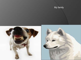 My family