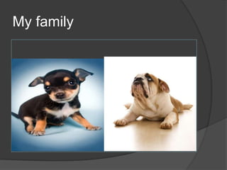 My family