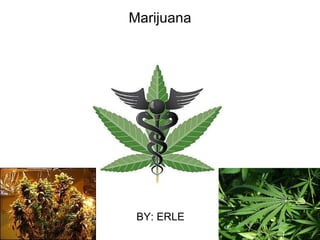 Marijuana BY: ERLE 