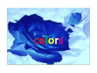 colors 