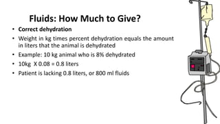Fluids: How Much to Give?
• Correct dehydration
• Weight in kg times percent dehydration equals the amount
in liters that the animal is dehydrated
• Example: 10 kg animal who is 8% dehydrated
• 10kg X 0.08 = 0.8 liters
• Patient is lacking 0.8 liters, or 800 ml fluids
 