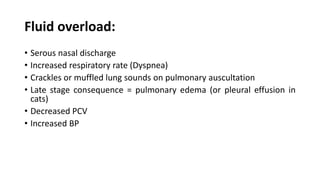 Fluid overload:
• Serous nasal discharge
• Increased respiratory rate (Dyspnea)
• Crackles or muffled lung sounds on pulmonary auscultation
• Late stage consequence = pulmonary edema (or pleural effusion in
cats)
• Decreased PCV
• Increased BP
 
