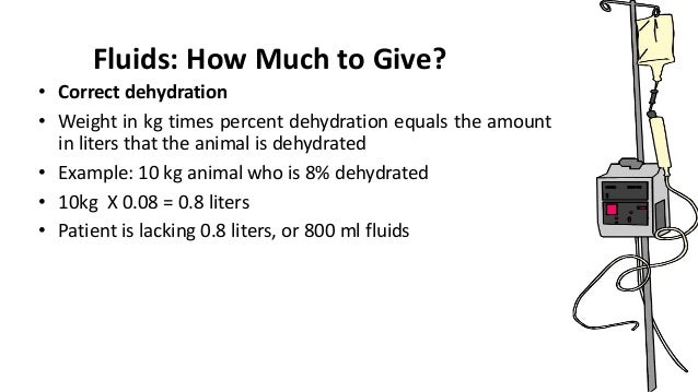 How Much Iv Fluid To Give A Dog Fpr Dehydration How Much Iv Fluid To Give A Dog Fpr Dehydration