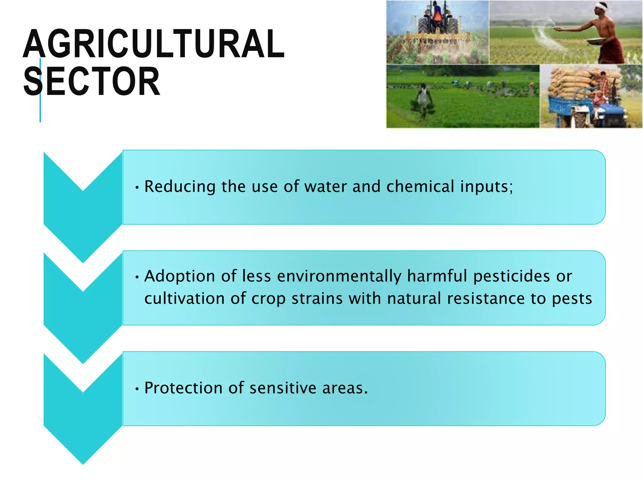AGRICULTURAL
SECTOR
•Reducing the use of water and chemical inputs;
•Adoption of less environmentally harmful pesticides or
cultivation of crop strains with natural resistance to pests
•Protection of sensitive areas.
 