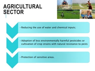 AGRICULTURAL
SECTOR
•Reducing the use of water and chemical inputs;
•Adoption of less environmentally harmful pesticides or
cultivation of crop strains with natural resistance to pests
•Protection of sensitive areas.
 