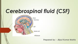 Cerebrospinal fluid (CSF)
Prepared by : -.Bipul Kumar Mahto
 