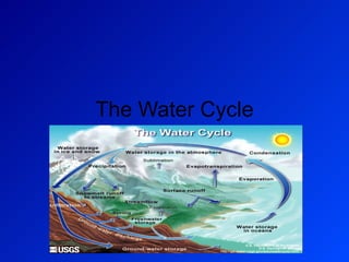 The Water Cycle 