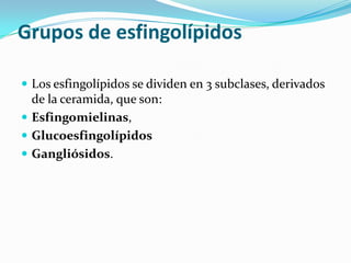 Grupos de esfingolípidos Los esfingolípidos se dividen en 3 subclases, derivados de la ceramida, que son: Esfingomielinas, GlucoesfingolípidosGangliósidos.