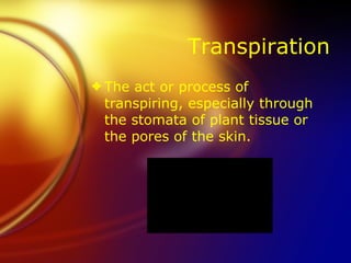 Transpiration The act or process of transpiring, especially through the stomata of plant tissue or the pores of the skin. 