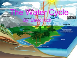 The Water Cycle By: David Rich 