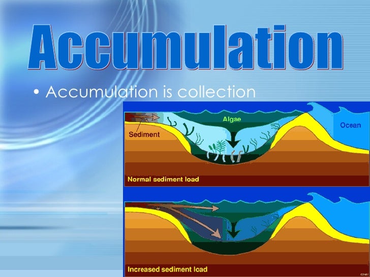 The water cycle greyhound