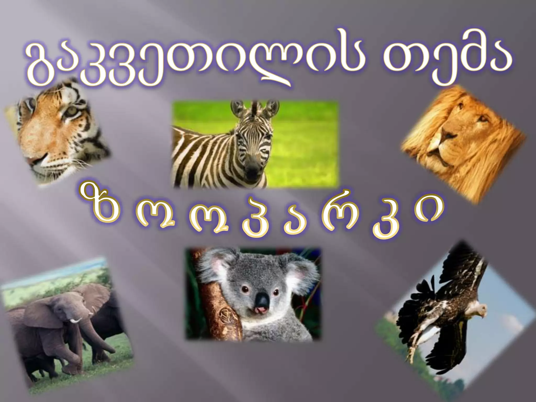 გაკვეთილის თემაზ ო ო პ ა რ კ ი