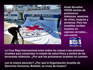 La Cruz Roja Internacional entra todos los meses a las prisiones  israelíes para comprobar el estado de salud física y mental de los  terroristas islámicos. ¿Por qué los prisioneros israelíes no cuentan  con la misma atención? ¿Por qué la Organización Israelita de  Derechos Humanos, Betzalel, se cruza de brazos? Israel devuelve VIVOS cientos de  prisioneros islámicos, asesinos de niños, mujeres y ancianos. Pero los israelitas reciben muertos en  cajones cerrados... con suerte. 