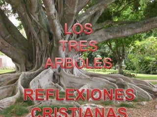 LOS TRES ARBOLES REFLEXIONES CRISTIANAS 