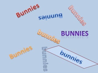 Bunnies Bunnies Bunnies Bunnies bunnies Bunnies bunnies bunnies 