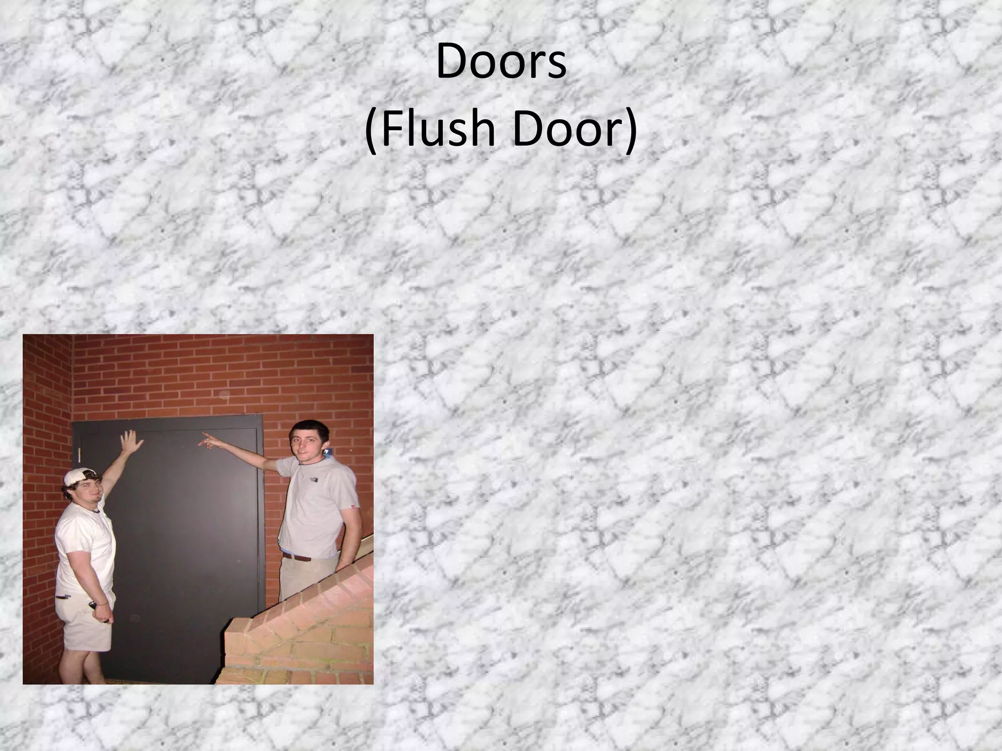 Doors (Flush Door) 