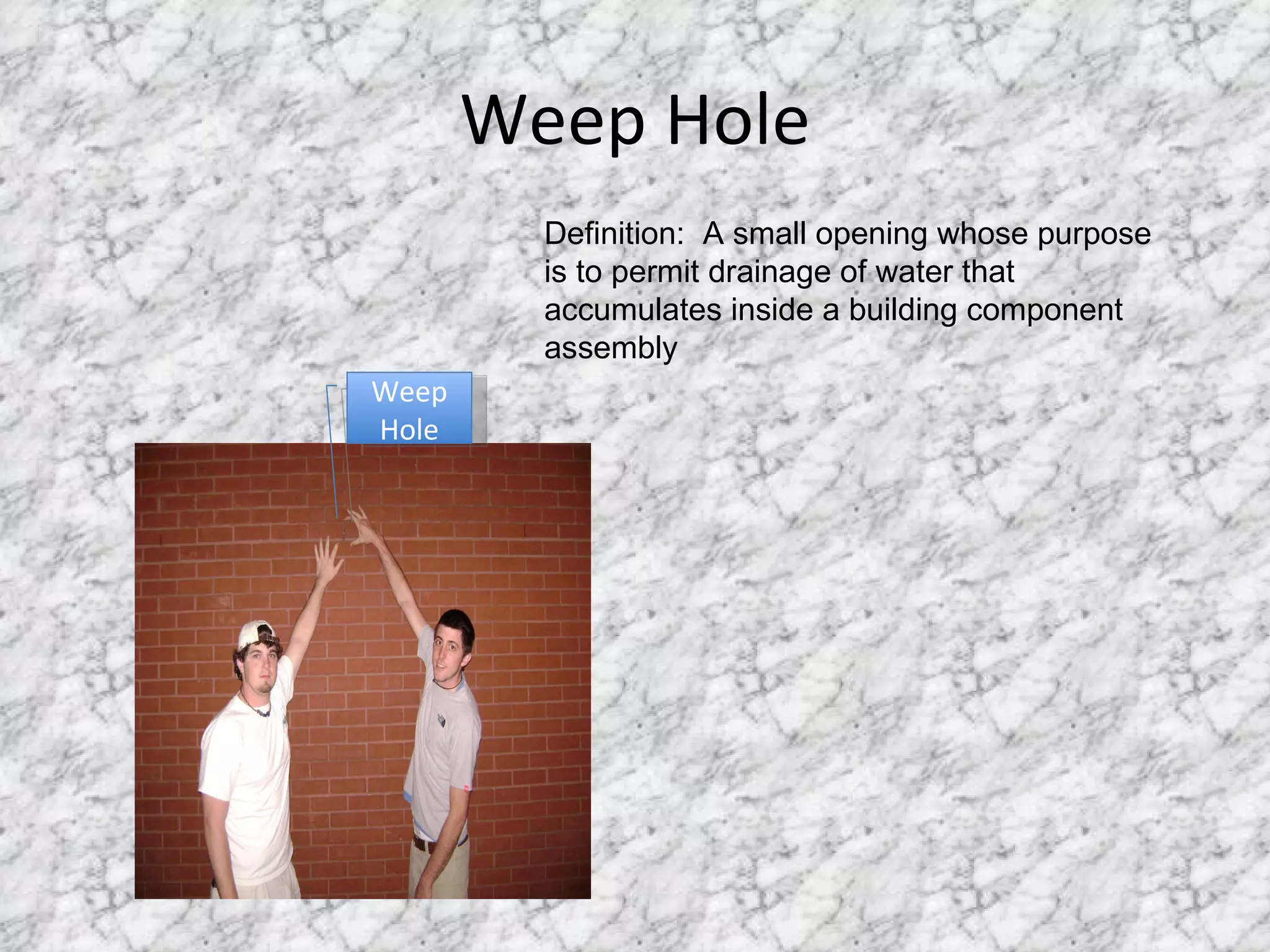 Weep Hole Weep Hole Definition:  A small opening whose purpose is to permit drainage of water that accumulates inside a building component assembly 