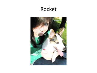 Rocket