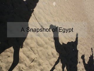 A Snapshot of Egypt 