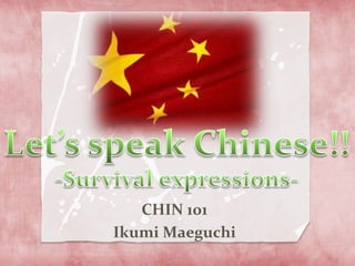CHIN 101
Ikumi Maeguchi
 