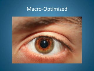 Macro-Optimized<br />