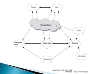   Lying down/ standing