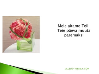 VAATA MIDA MEIE PAKUME...